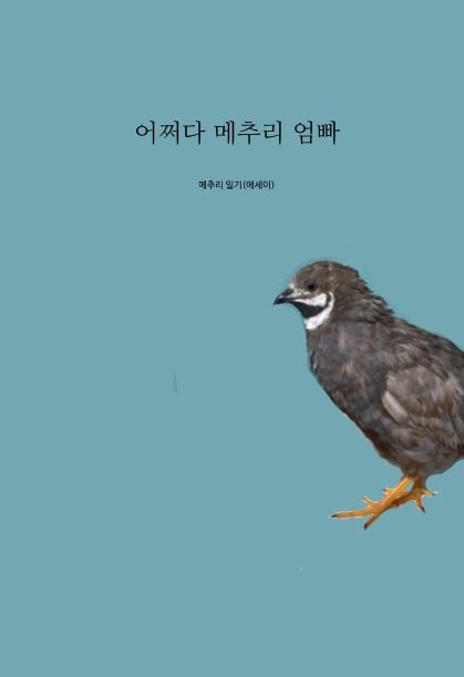 어쩌다 메추리 엄빠
 cover