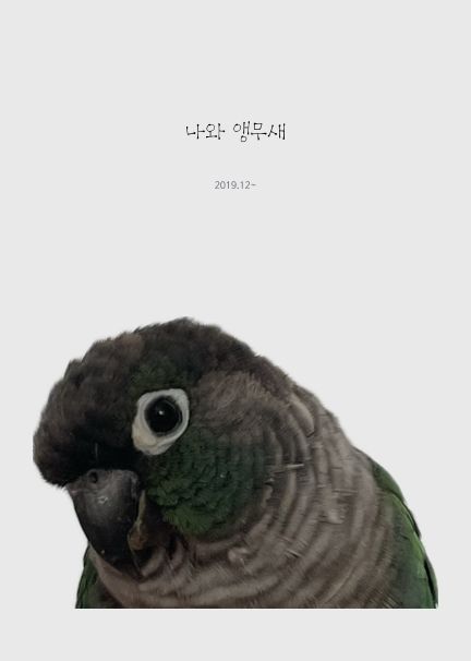 나와 앵무새
 cover