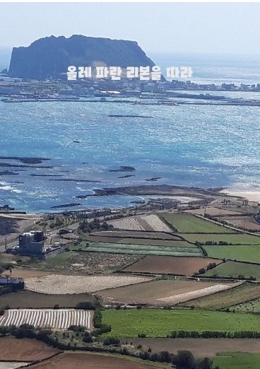 올레 파란 리본을 따라

 cover