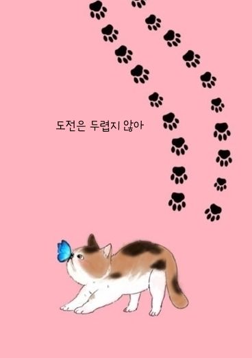 도전은 두렵지 않아 cover